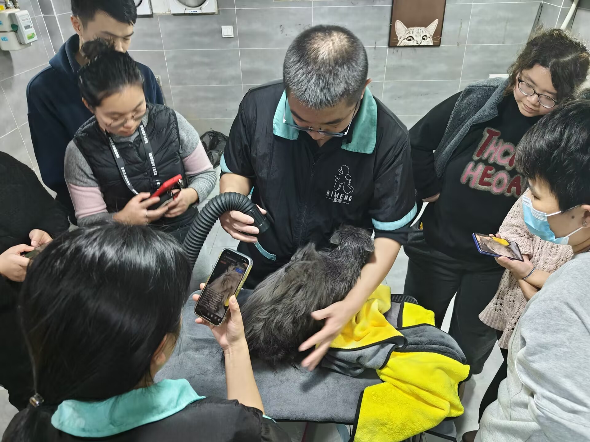 公開(kāi)課：特邀貓洗護(hù)大師宮建永