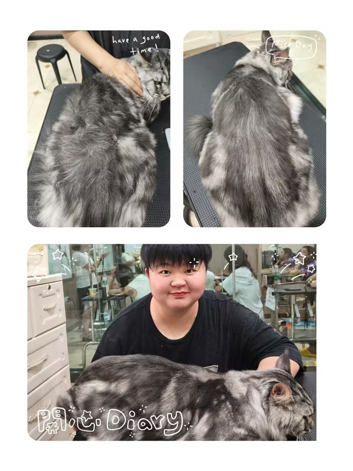 優(yōu)秀作品