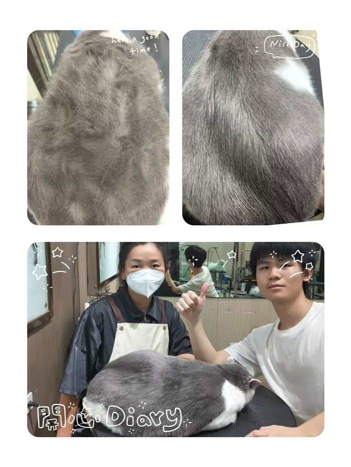 優(yōu)秀作品