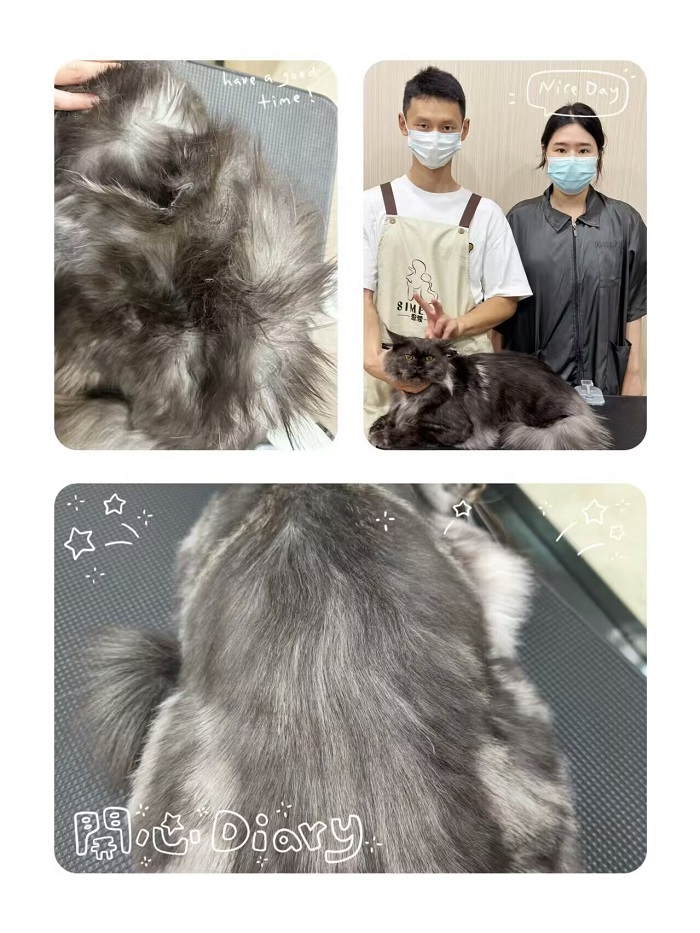 優(yōu)秀作品