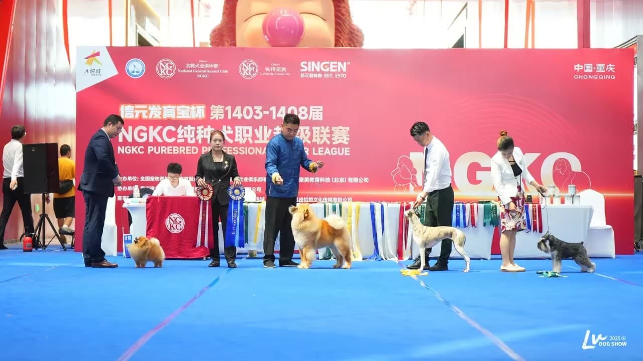 我們的榮譽(yù)