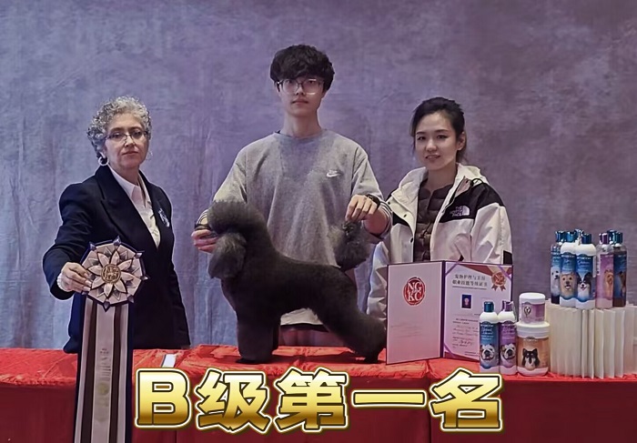 我們的榮譽(yù)
