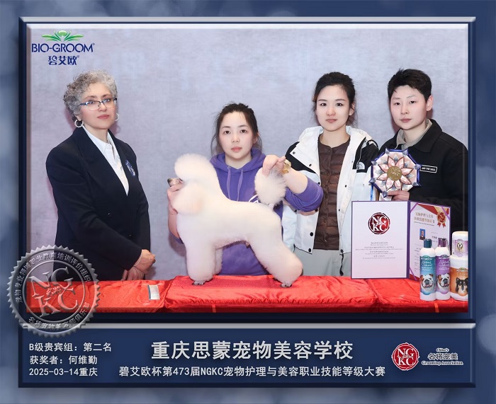 我們的榮譽(yù)