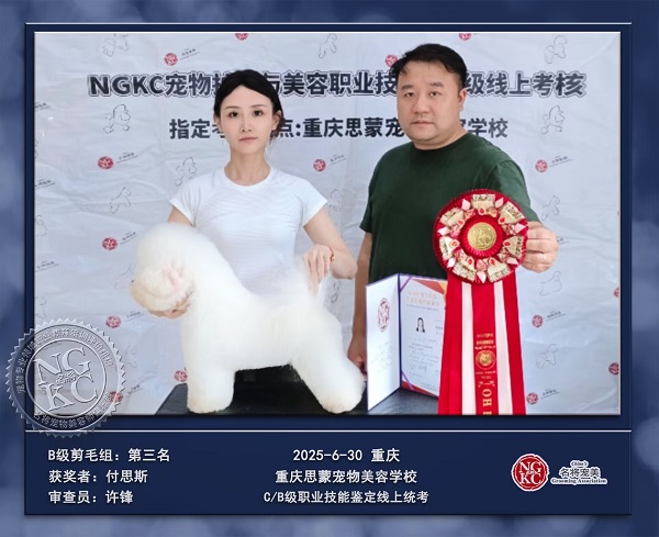 我們的榮譽