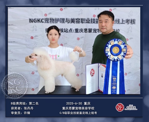我們的榮譽