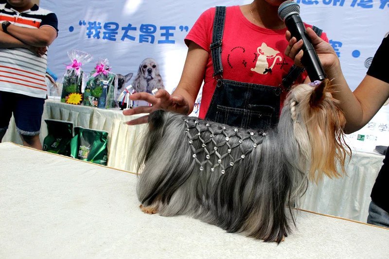 外聯(lián)活動(dòng)