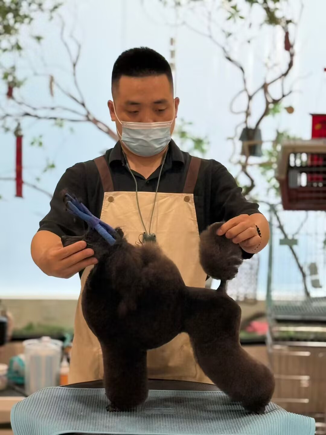 優(yōu)秀作品