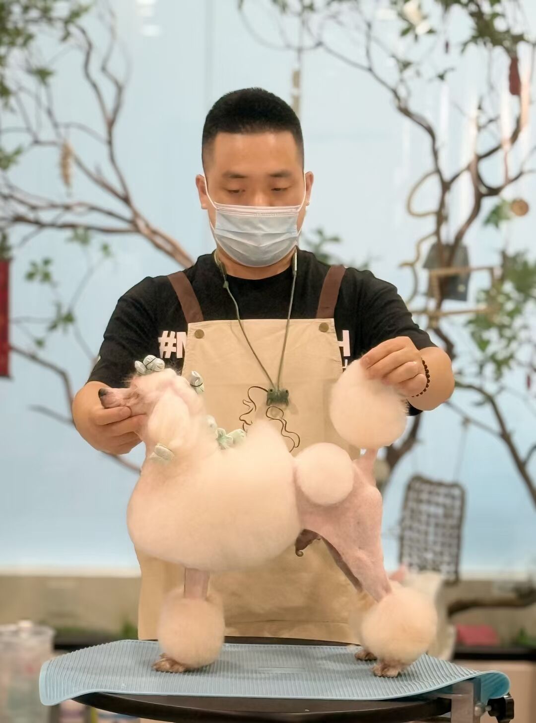 優(yōu)秀作品