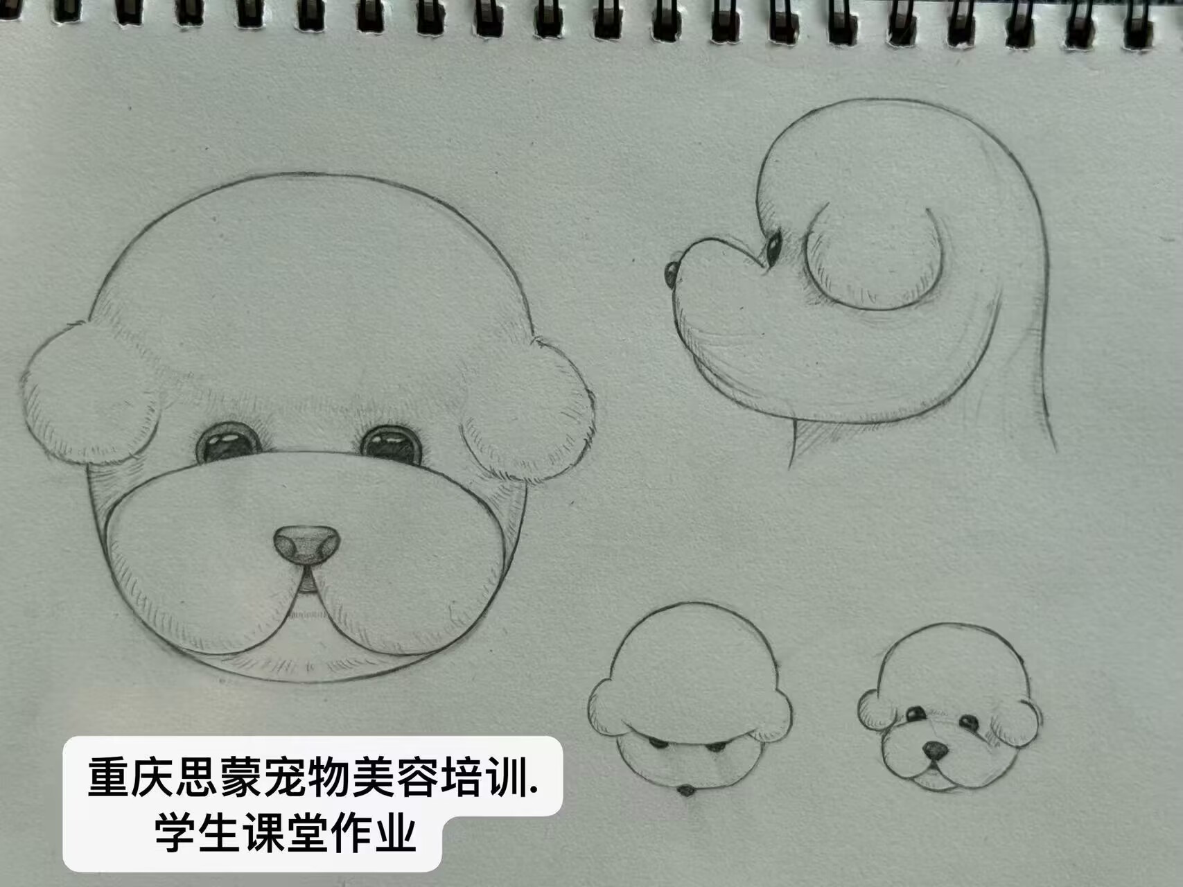 優(yōu)秀作品