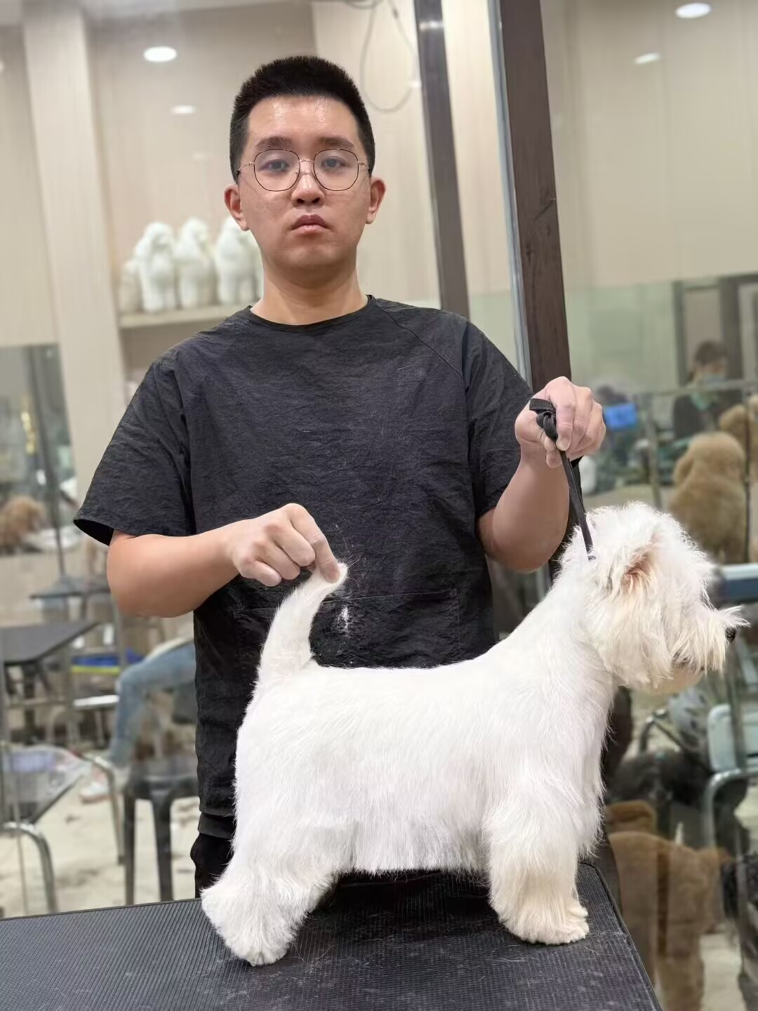 優(yōu)秀作品