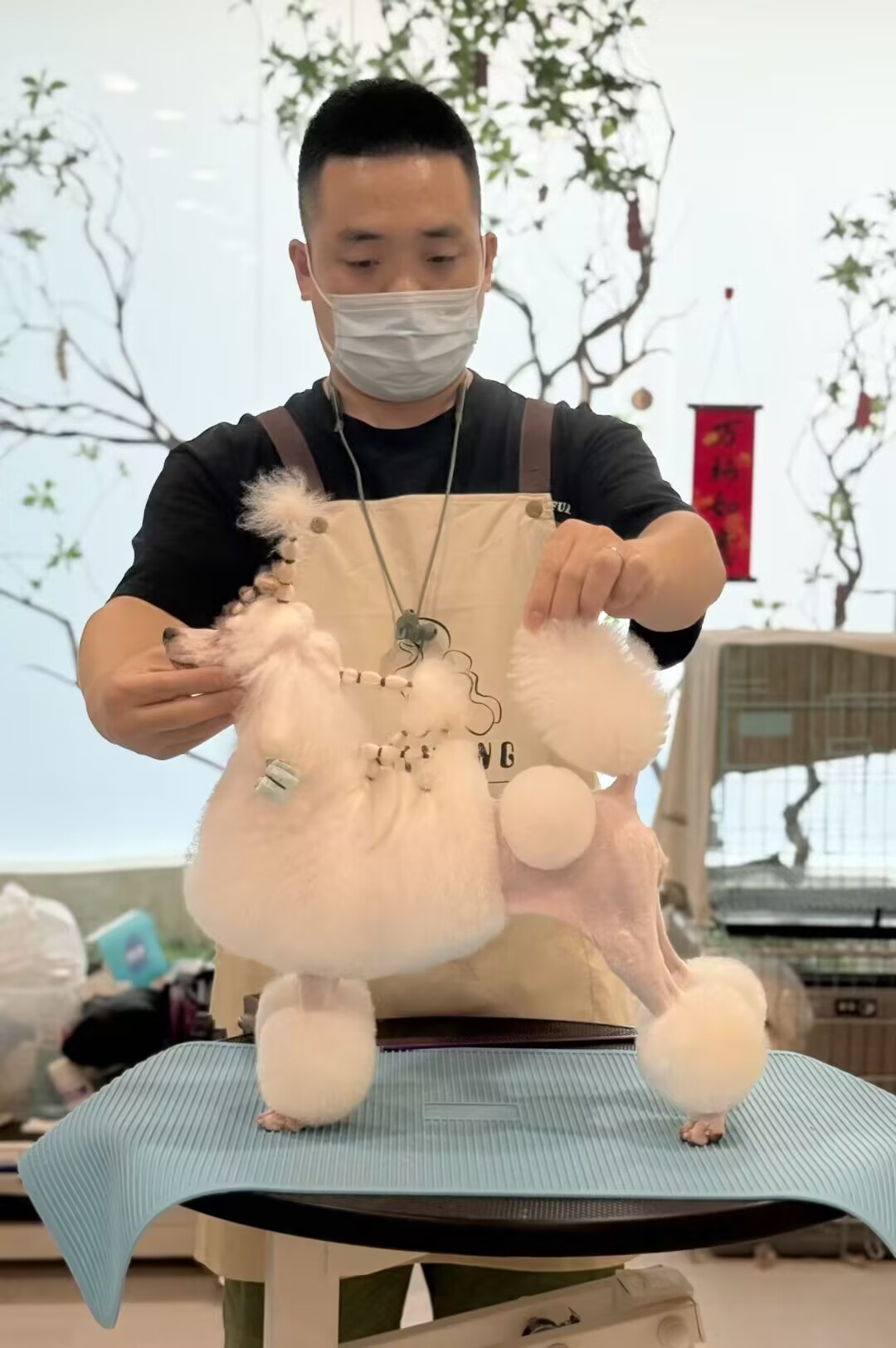 優(yōu)秀作品