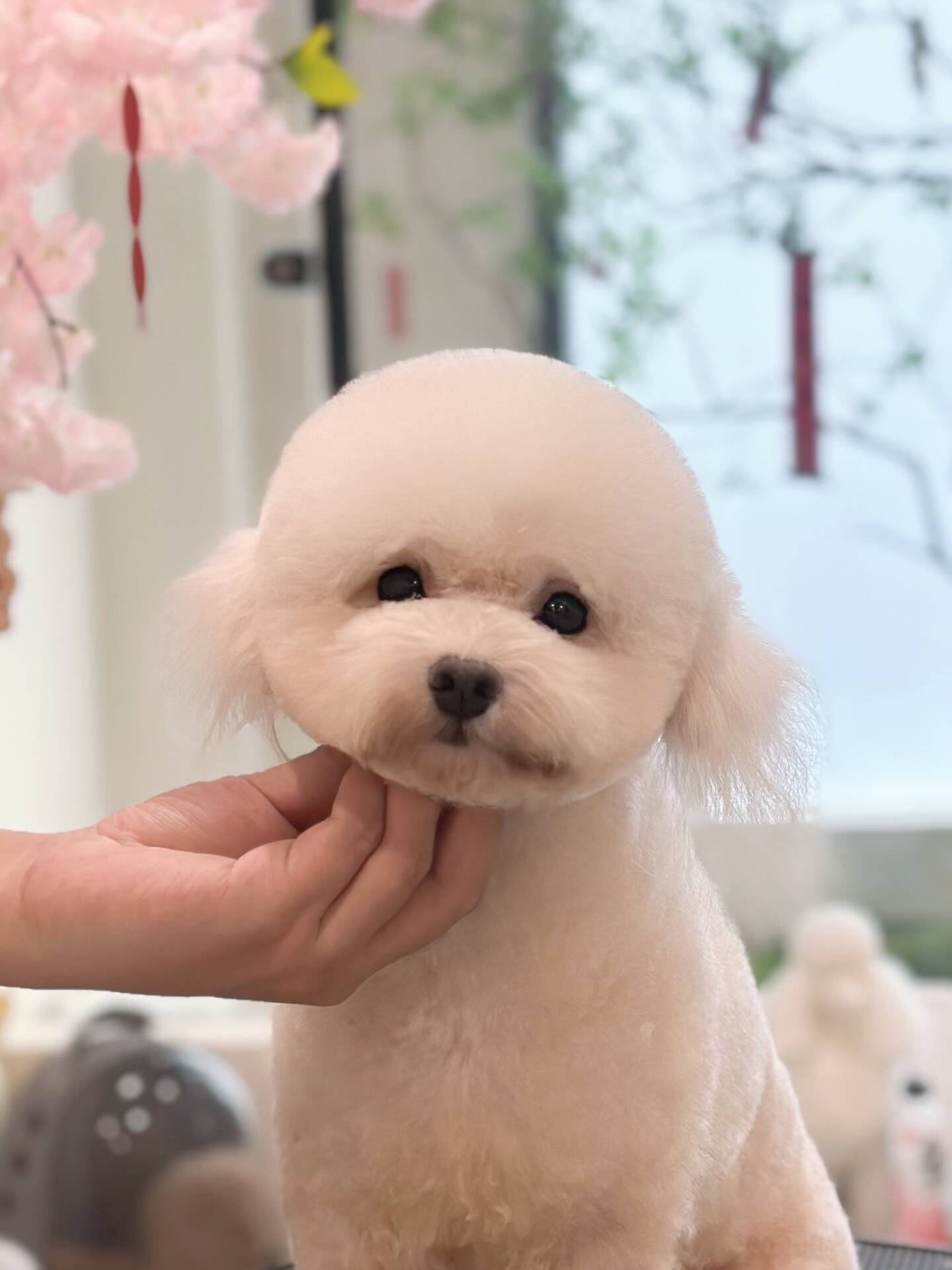 優(yōu)秀作品