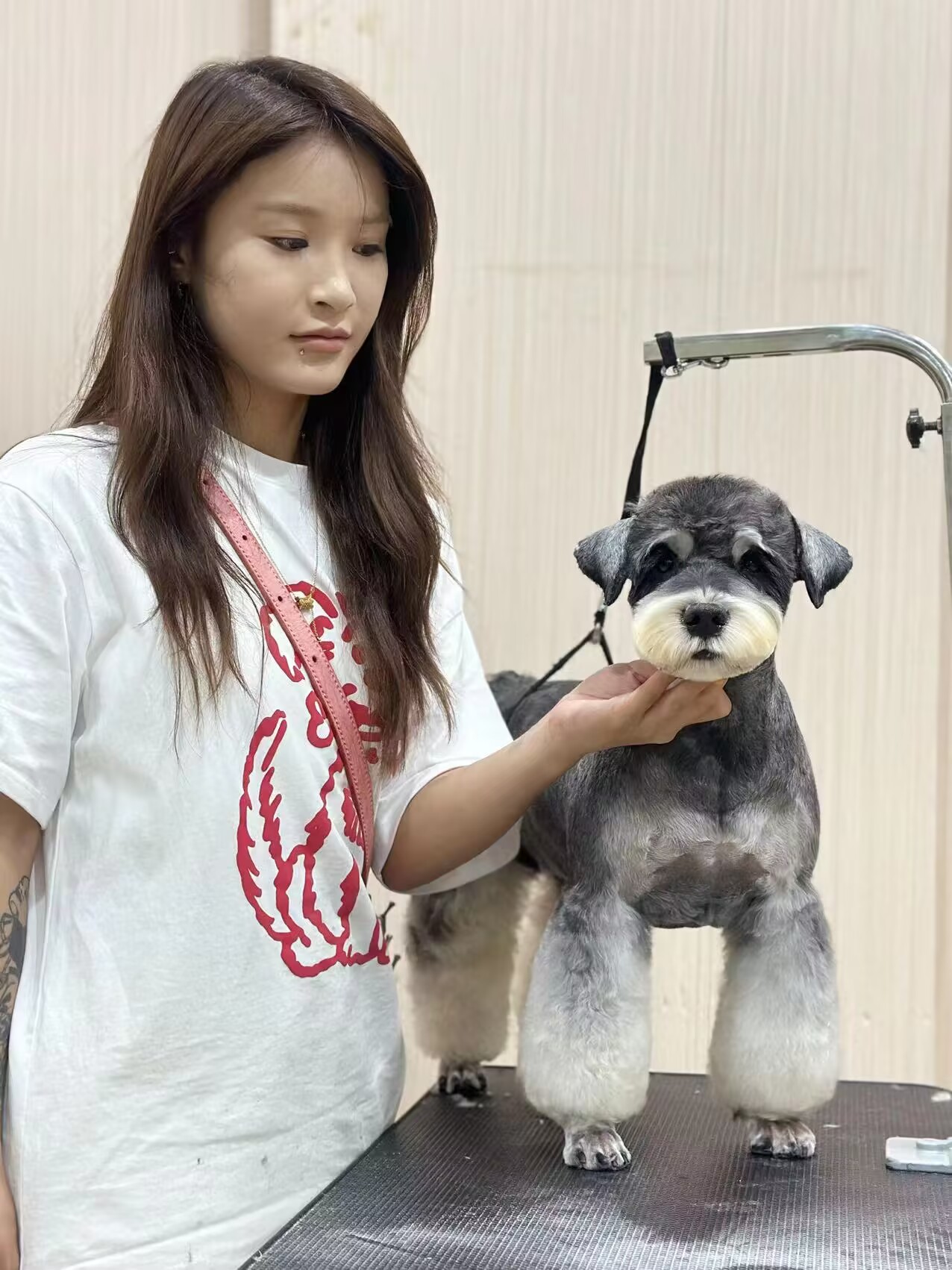 優(yōu)秀作品