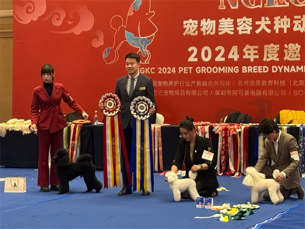 我們的榮譽(yù)