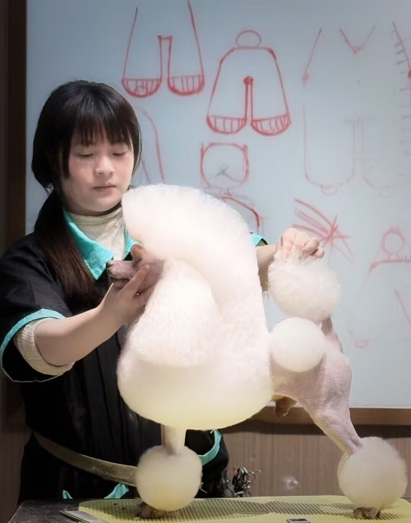 優(yōu)秀作品