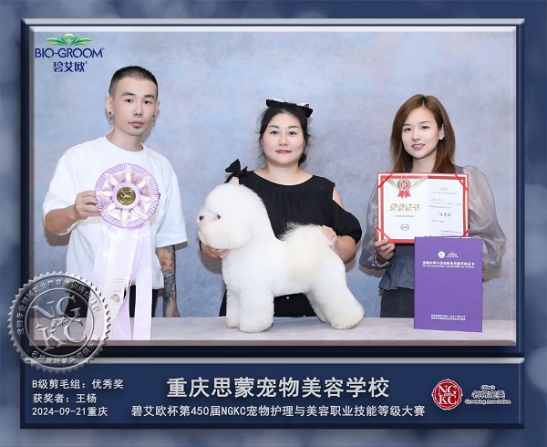 我們的榮譽(yù)